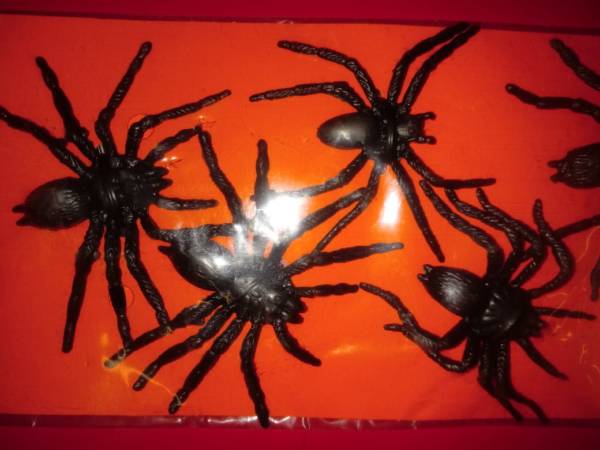 plastic black spiders