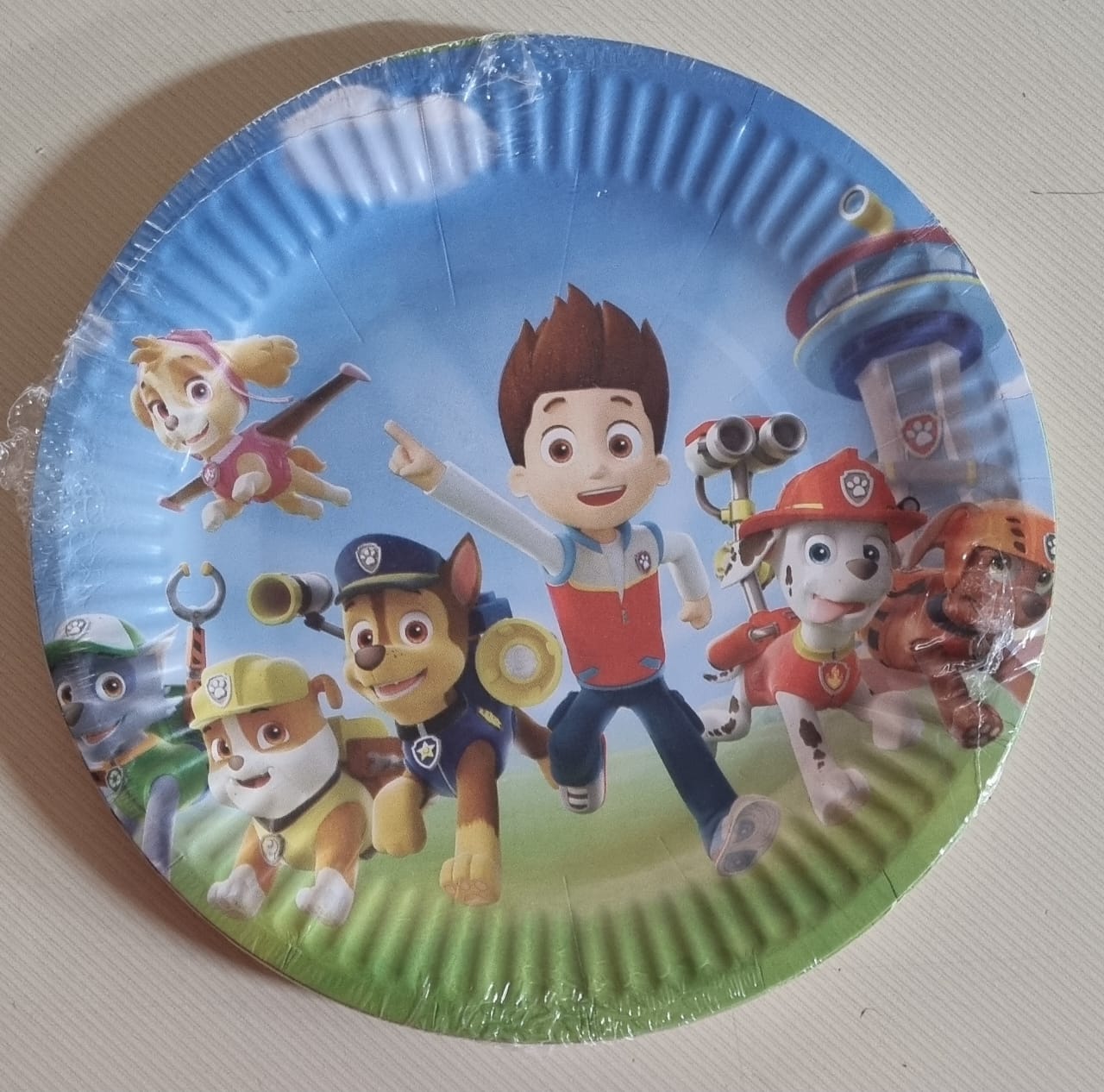 Paw patrol plates small 10 s Fun Creations