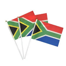 sa flag on stick