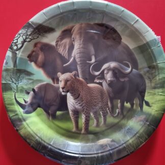 Big 5 paper plates big 10's