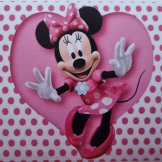 Minnie mouse stickers 10's 10x8cm