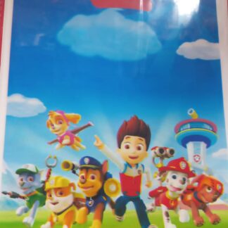 Paw patrol loot bags 10's