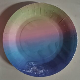 Pastel rainbow paper plates big 10's